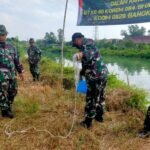 Cegah Abrasi dan Hijaukan Lingkungan, Kodim Bangkalan Gelar Aksi Tanam Pohon di Kelurahan Bancaran